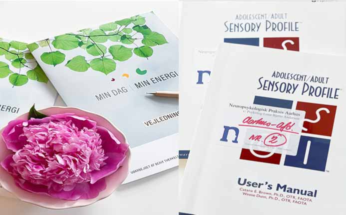 ERGOTERAPEUTISK RÅDGIVNINGSFORLØB